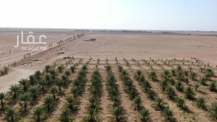 مزرعة للبيع في حي الودى, مدينة ودي الحزم   الودي, منطقة حائل صورة 2