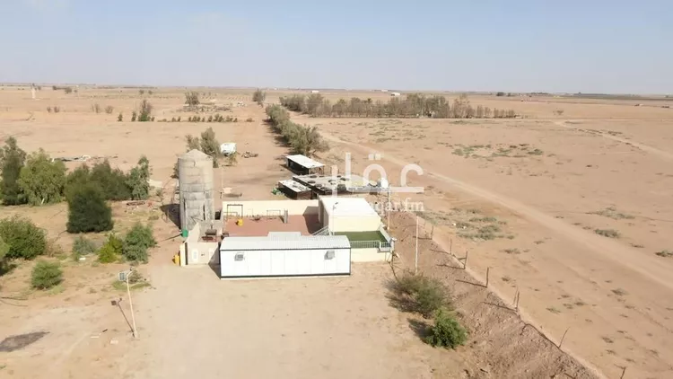 مزرعة للبيع في شارع شارع, حي الودى, مدينة ودي الحزم الودي, منطقة حائل