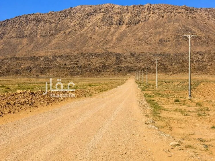 مزرعة للبيع في شارع غير مسمى, حي جلدية, مدينة جلدية, منطقة حائل 9
