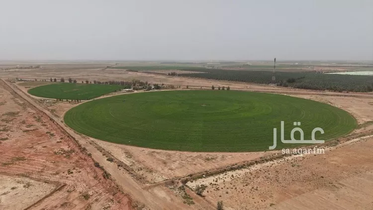 مزرعة للبيع في شارع غير مسمى, مدينة الضلفعه, منطقة القصيم