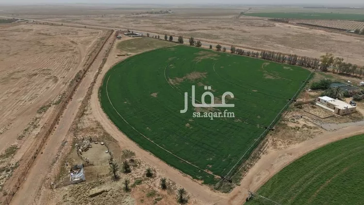 مزرعة للبيع في شارع غير مسمى, مدينة الضلفعه, منطقة القصيم 6
