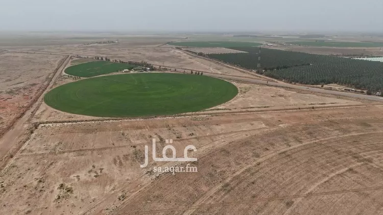 مزرعة للبيع في شارع غير مسمى, مدينة الضلفعه, منطقة القصيم صورة 3