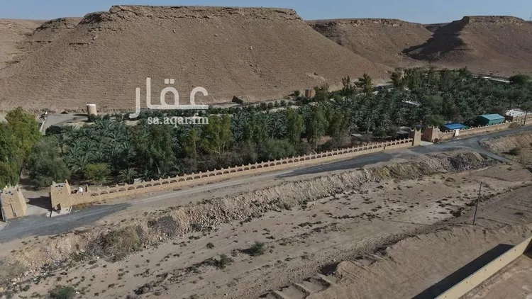 مزرعة للبيع في شارع, حي مزارع الخنقه, مدينة مزارع الخنقه, منطقة الرياض صورة 3