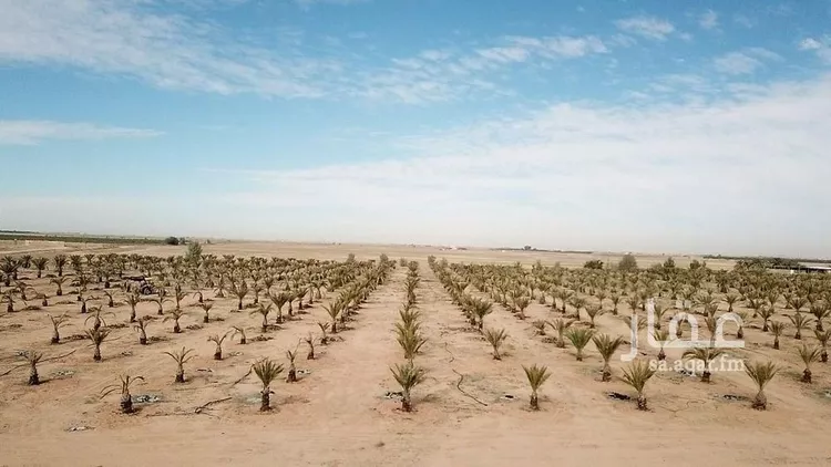 مزرعة للبيع في شارع, حي محير الترمس, مدينة محير الترمس, منطقة القصيم 7