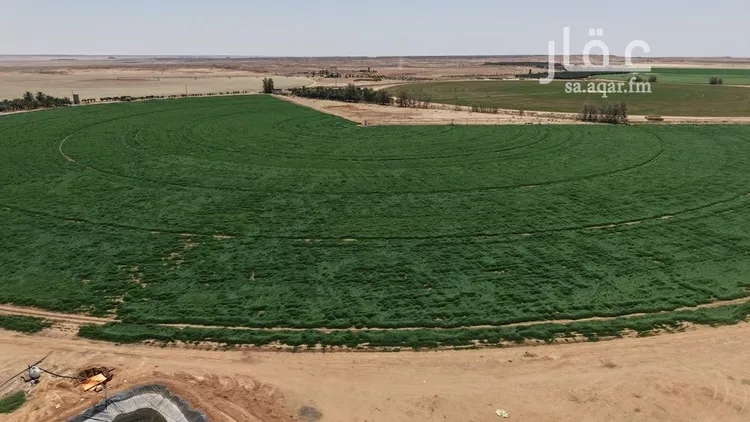 Farm for Sale in Baqaa Al Suhaibi صورة 4