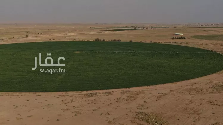 مزرعة للبيع في شارع طريق ساجر, حي العمار, مدينة العمار, منطقة القصيم صورة 4
