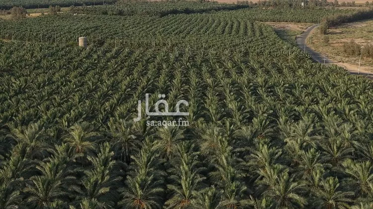 مزرعة للبيع في حي القصر, مدينة القصر, منطقة حائل 14