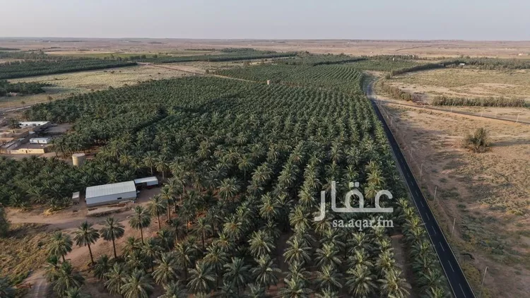 مزرعة للبيع في حي القصر, مدينة القصر, منطقة حائل 24