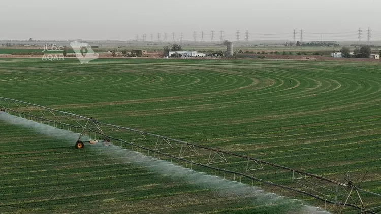 Farm for Sale in AlShinana Al Aziziyah 4