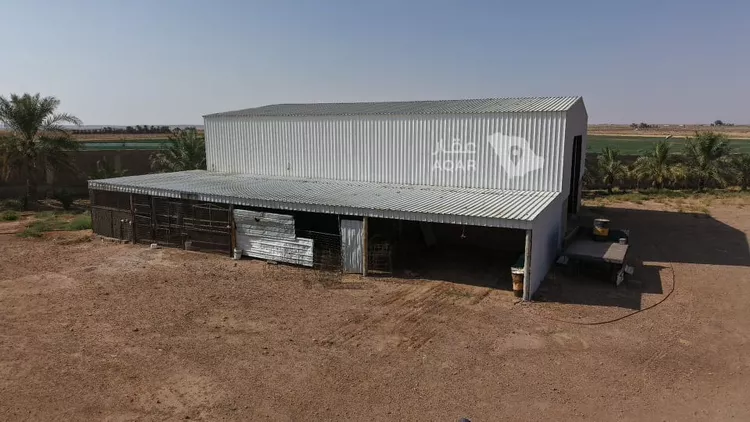 Farm for Sale in AlShinana Al Aziziyah 17