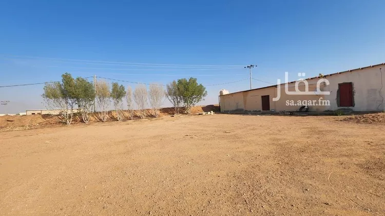 أرض للبيع في شارع شارع , حي بقعاء الشرقية(سهلة الفزير), مدينة بقعاء, منطقة حائل صورة 2