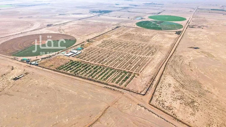 مزرعة للبيع في شارع شارع , حي المنصورية, مدينة المنصورية, منطقة حائل