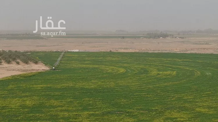 مزرعة للبيع في شارع شارع, حي مزارع الوبريات, مدينة مزارع الوبريات, منطقة حائل صورة 2