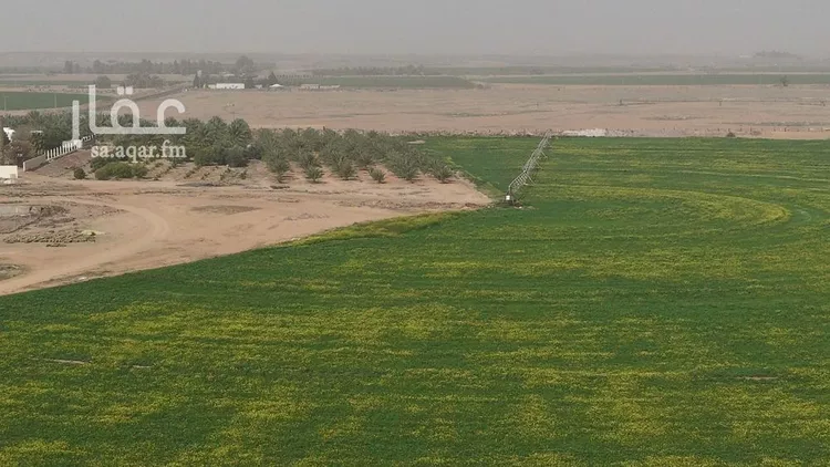 مزرعة للبيع في شارع شارع, حي مزارع الوبريات, مدينة مزارع الوبريات, منطقة حائل صورة 3