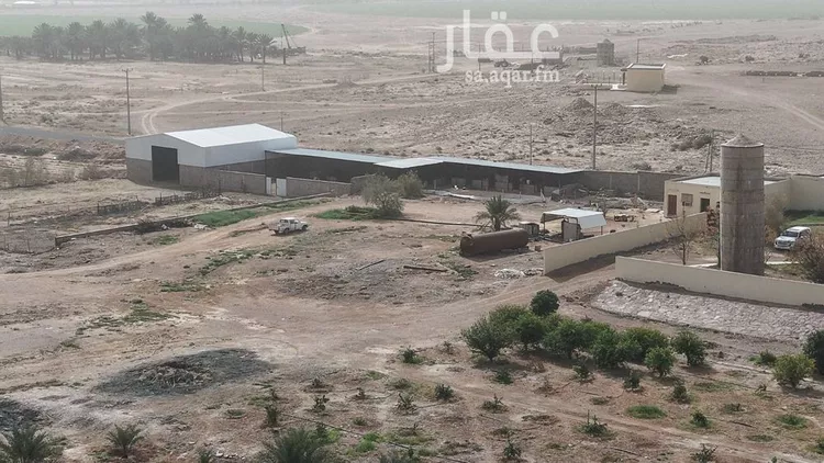 مزرعة للبيع في شارع شارع, حي مزارع الوبريات, مدينة مزارع الوبريات, منطقة حائل صورة 5