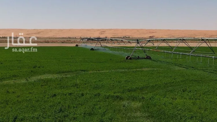 مزرعة للبيع في شارع شارع, حي خل ابو سدره, مدينة خل ابو سدره, منطقة الرياض صورة 3