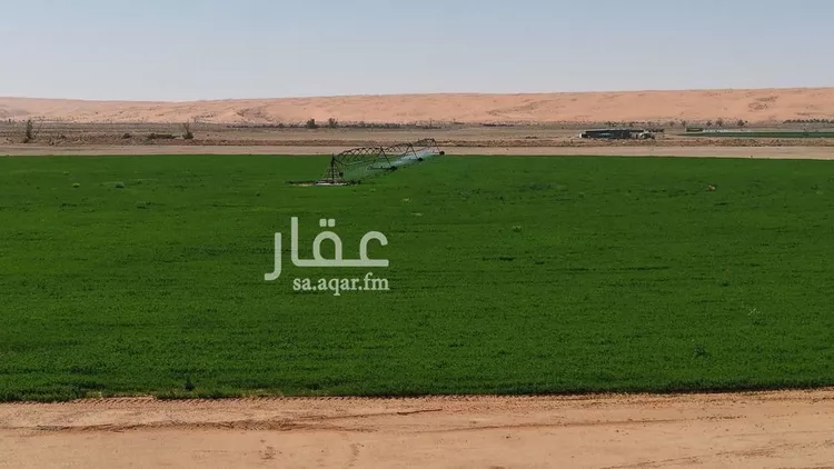 Farm for Sale in Al Ghat Ar Rabie 25
