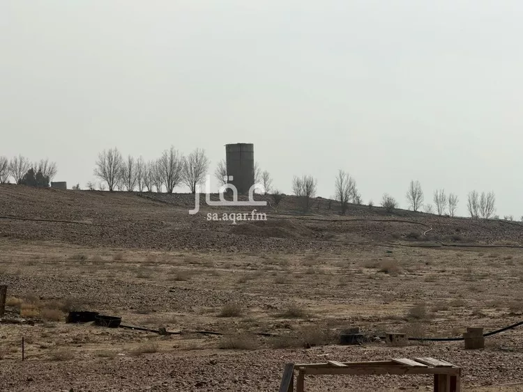 مزرعة للبيع في شارع شارع, مدينة الأجفر, منطقة حائل