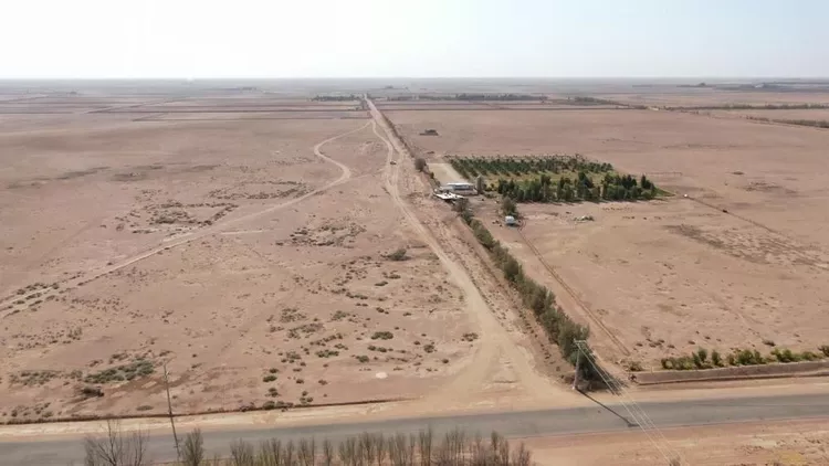 مزرعة للبيع في حي الودى, مدينة ودي الحزم   الودي, منطقة حائل