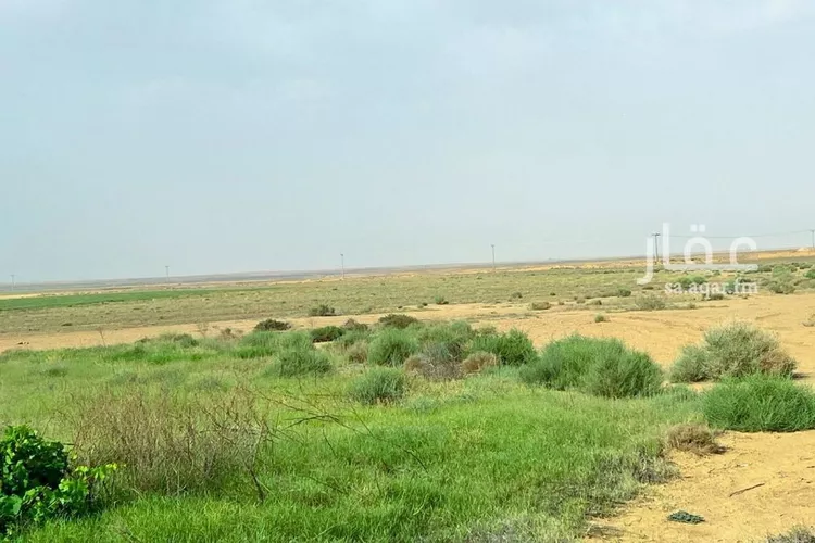 مزرعة للبيع في شارع شارع, حي الفويلق رقم(1), مدينة الفويلق رقم 1, منطقة حائل 10
