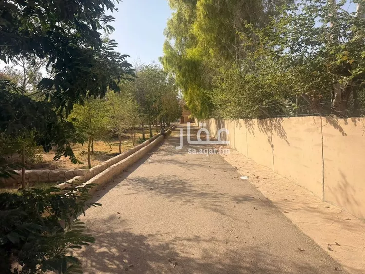 مزرعة للبيع في شارع, حي مزارع الخنقه, مدينة مزارع الخنقه, منطقة الرياض 25