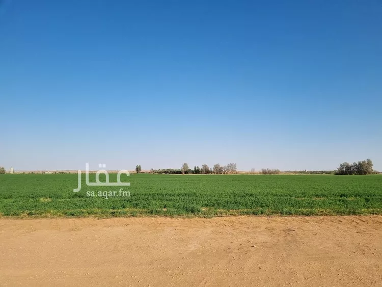 مزرعة للبيع في شارع, حي بقعاء الشرقية(سهلة الفزير), مدينة بقعاء, منطقة حائل 11