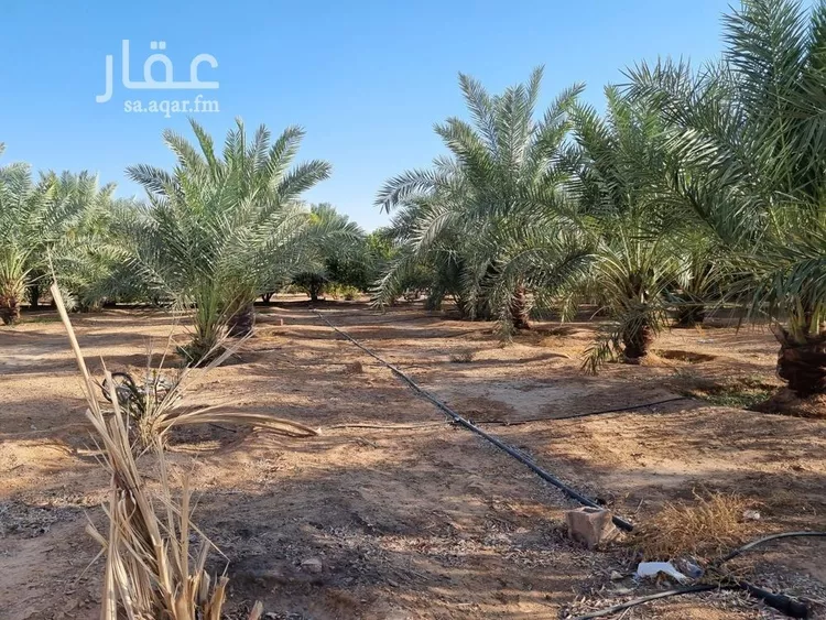 مزرعة للبيع في شارع, حي بقعاء الشرقية(سهلة الفزير), مدينة بقعاء, منطقة حائل 26