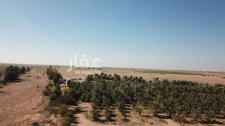 مزرعة للبيع في شارع شارع , حي فيضه بن حميد, مدينة فيضه بن حميد, منطقة القصيم صورة 5