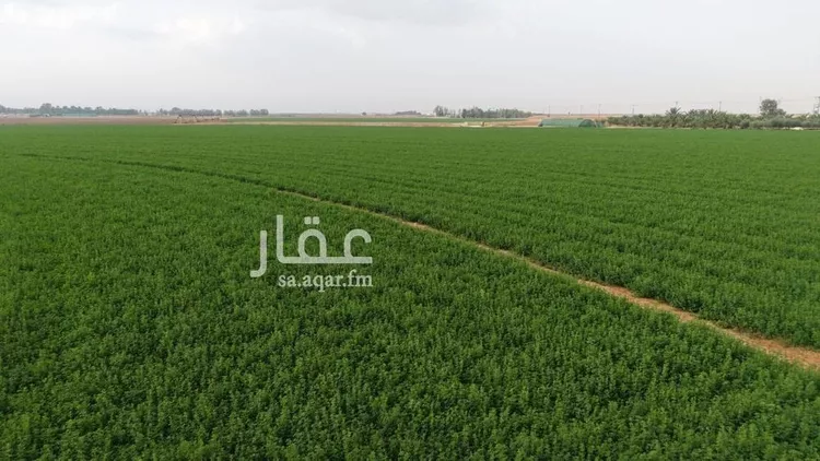 مزرعة للبيع في شارع شارع , حي السحل, مدينة السحل, منطقة حائل صورة 5