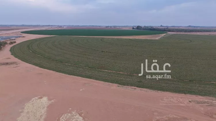 مزرعة للبيع في شارع شارع , حي السحل, مدينة السحل, منطقة حائل صورة 3