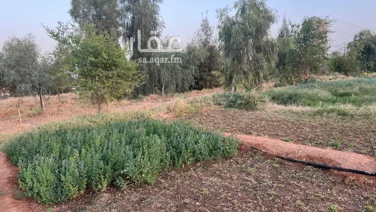 مزرعة للبيع في شارع شارع, حي الودى, مدينة ودي الحزم   الودي, منطقة حائل صورة 2