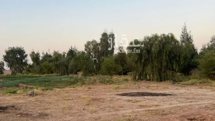 مزرعة للبيع في شارع شارع, حي الودى, مدينة ودي الحزم   الودي, منطقة حائل 7