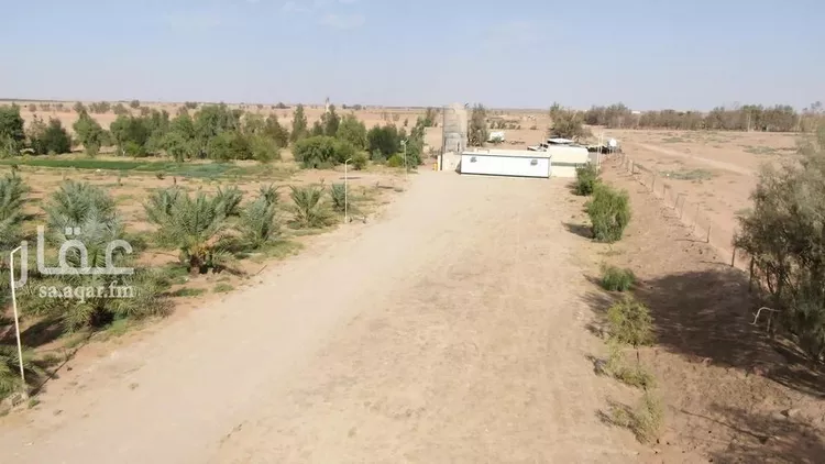 مزرعة للبيع في شارع شارع, حي الودى, مدينة ودي الحزم   الودي, منطقة حائل 16