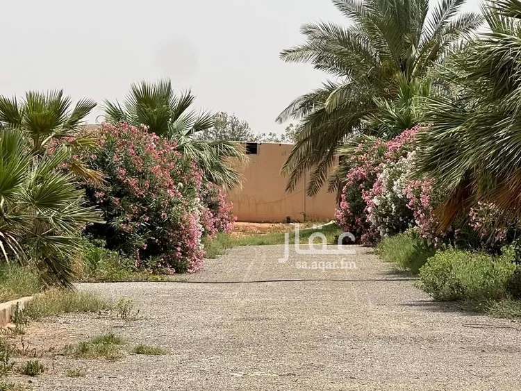 مزرعة للبيع في شارع غير مسمى, مدينة الضلفعه, منطقة القصيم 21