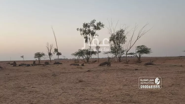 مزرعة للبيع في شارع, حي مزارع البكيريه الشماليه, مدينة مزارع البكيريه الشماليه, منطقة القصيم 10