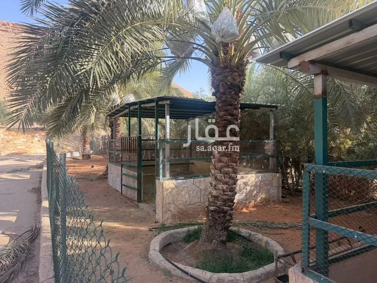 مزرعة للبيع في شارع, حي مزارع الخنقه, مدينة مزارع الخنقه, منطقة الرياض 23
