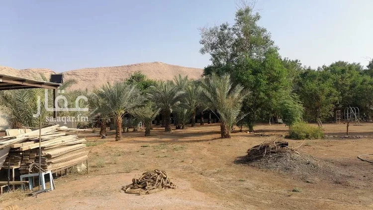 مزرعة للبيع في شارع بكر ابن عبدالله ابن الربيع الانصاري, حي مزارع واشله, مدينة الرياض, منطقة الرياض صورة 2