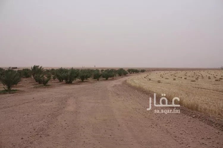 مزرعة للبيع في شارع, حي محير الترمس, مدينة محير الترمس, منطقة القصيم 11