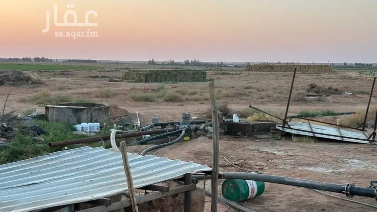 مزرعة للبيع في شارع ترابي, حي الفويلق رقم(1), مدينة الفويلق رقم 1, منطقة حائل 23