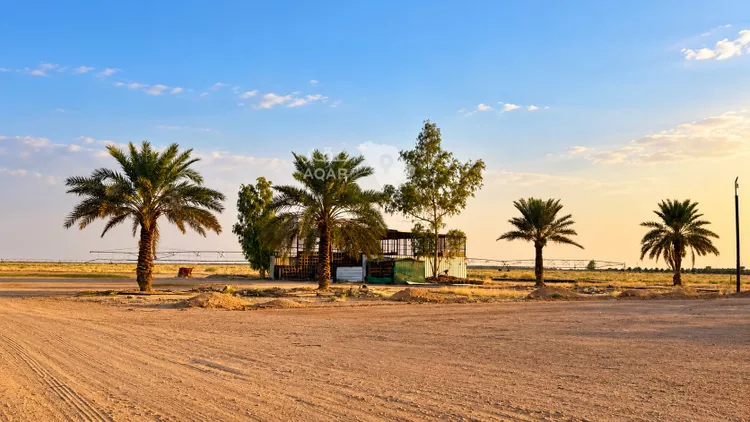 Farm for Sale in Buraydah Ar Rihab 14