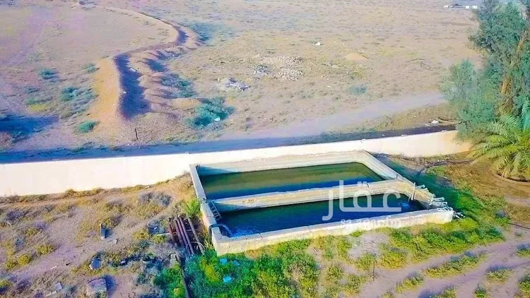 مزرعة للبيع في شارع شارع , حي مزارع شرق البطين, مدينة مزارع شرق البطين, منطقة القصيم صورة 3