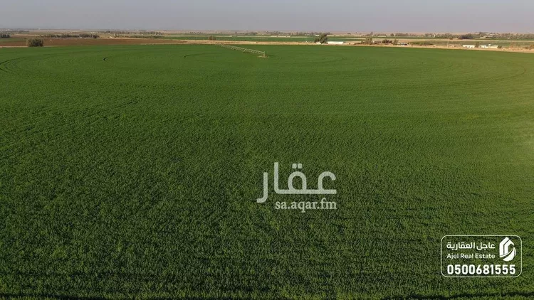 مزرعة للبيع في شارع شارع , حي مزارع الوبريات, مدينة مزارع الوبريات, منطقة حائل صورة 2