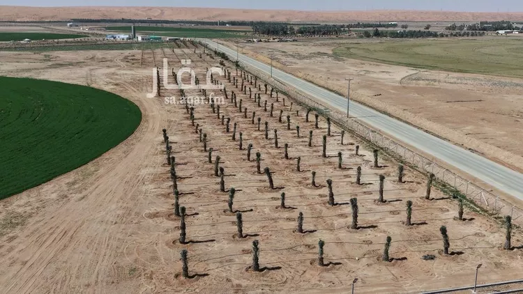Farm for Sale in Al Ghat Ar Rabie 23
