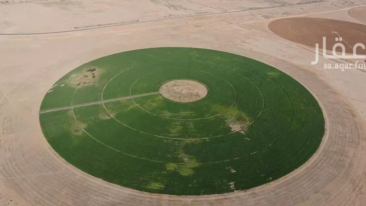 مزرعة للبيع في شارع شارع, حي الفويلق رقم(1), مدينة الفويلق رقم 1, منطقة حائل