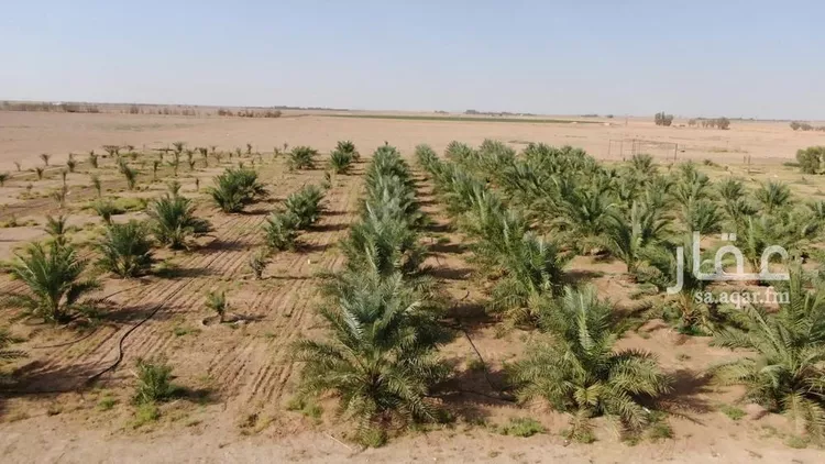 مزرعة للبيع في حي الودى, مدينة ودي الحزم   الودي, منطقة حائل صورة 4