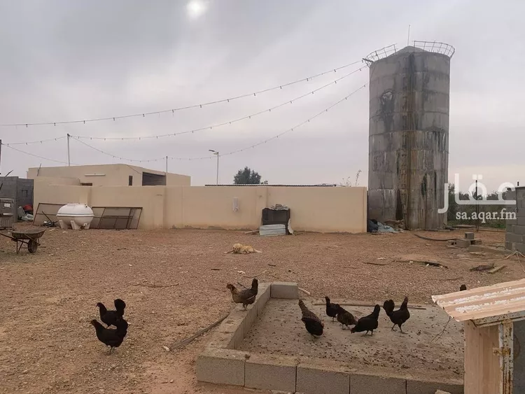 مزرعة للبيع في شارع شارع, حي الودى, مدينة ودي الحزم   الودي, منطقة حائل صورة 5