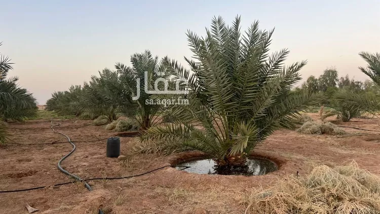 مزرعة للبيع في شارع شارع, حي الودى, مدينة ودي الحزم   الودي, منطقة حائل 18
