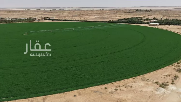 مزرعة للبيع في شارع, حي بقعاء الشرقية(سهلة الفزير), مدينة بقعاء, منطقة حائل 17