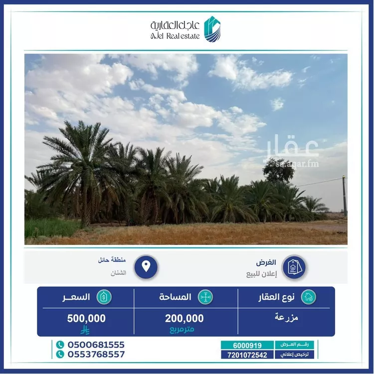 مزرعة للبيع في شارع, حي مزارع ابو غيل, مدينة مزارع ابو غيل, منطقة حائل