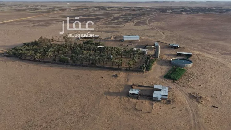 مزرعة للبيع في شارع, حي الصداة, مدينة الصداة, منطقة حائل 6